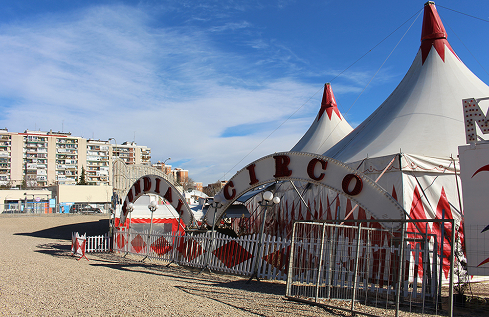 ¿Por qué circos sin animales?