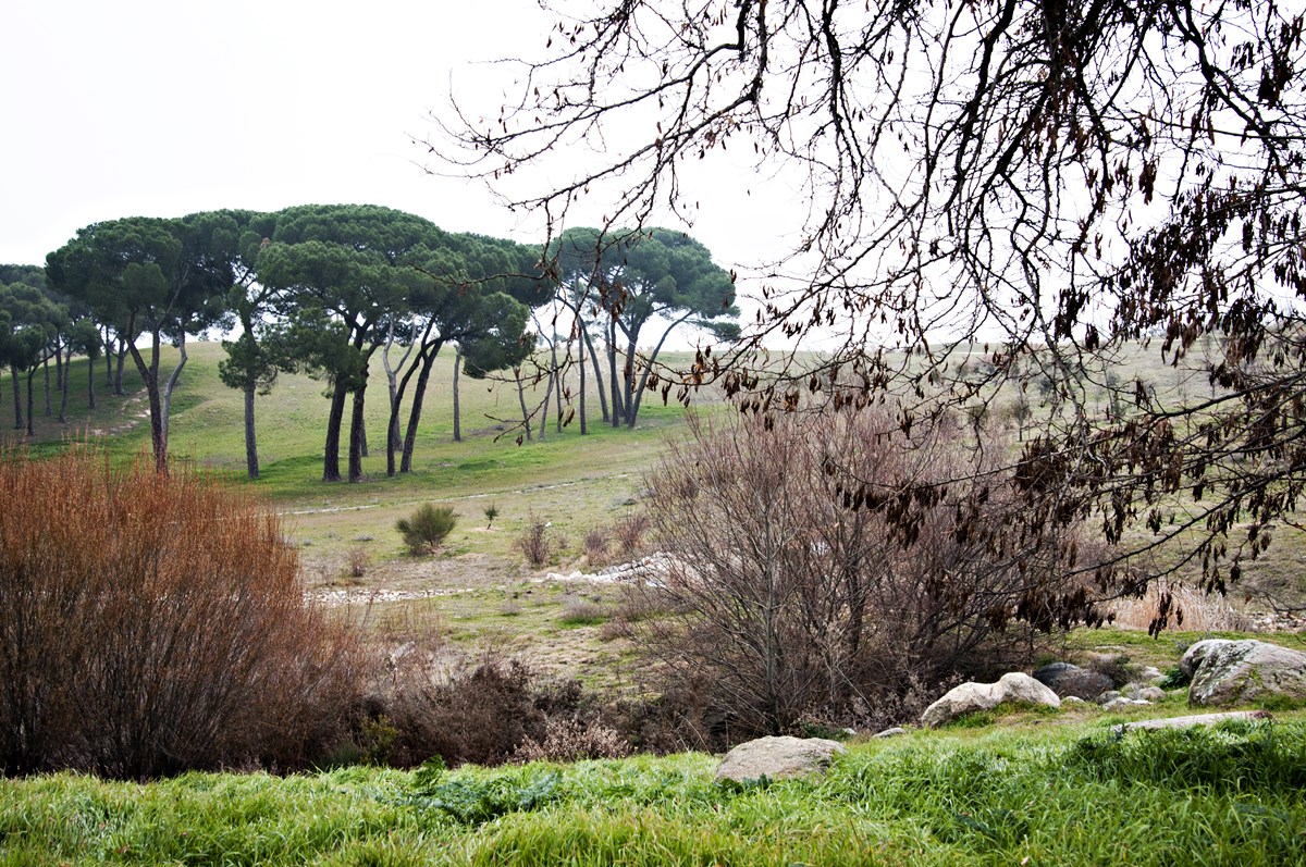 Suspendida la inauguración del parque Felipe VI