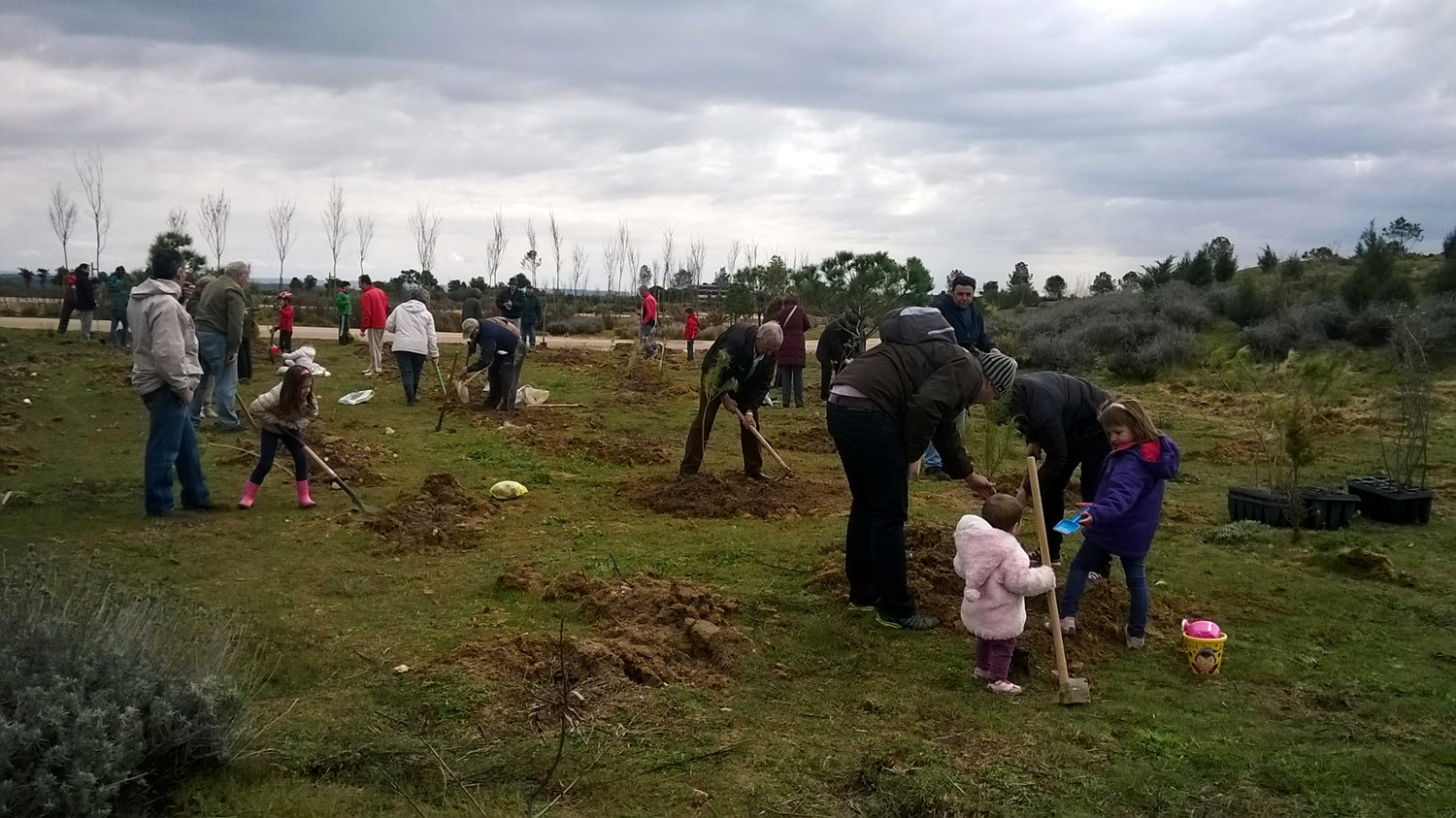 El vecindario de Las Cárcavas planta su bosque en Valdebebas