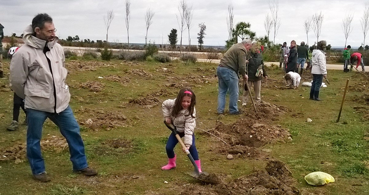 Plantación colectiva de árboles detrás del polideportivo Hortaleza