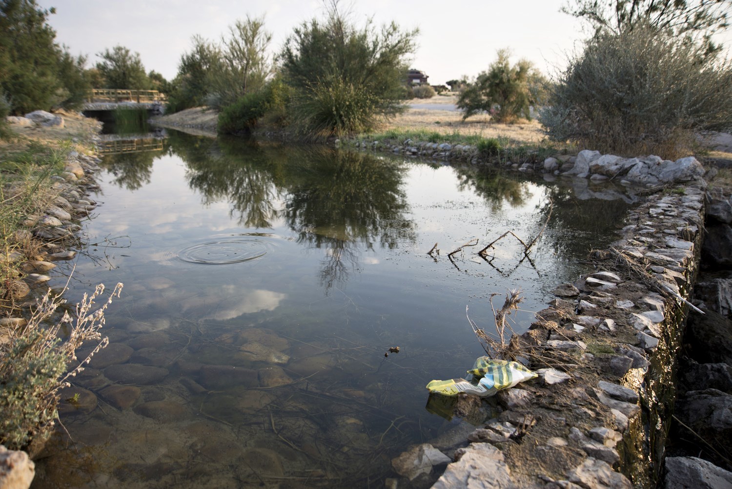 La suciedad empieza a florecer en el parque de Valdebebas