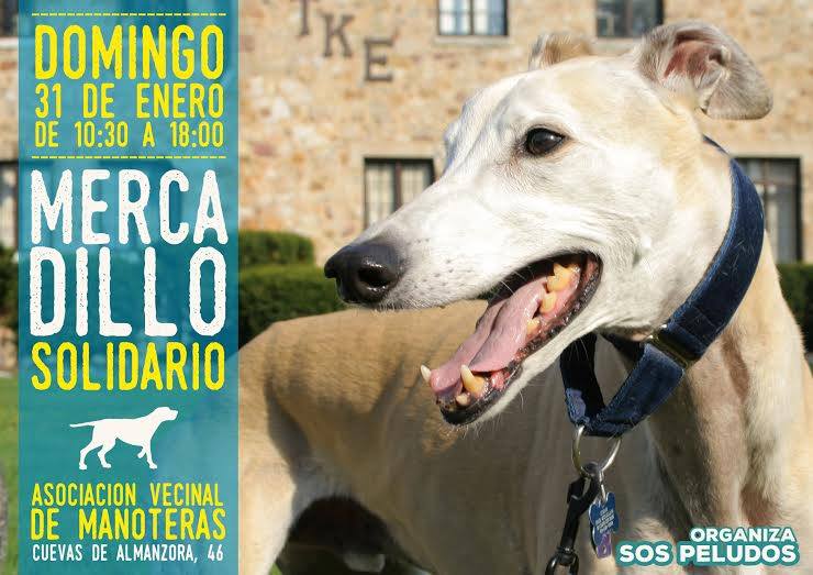 La nueva asociación hortalina S.O.S. Peludos se estrena con un mercadillo solidario