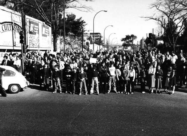 El Bosque, una colonia que luchó contra el asfalto