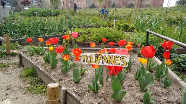 Día del libro en el huerto urbano de Sanchinarro