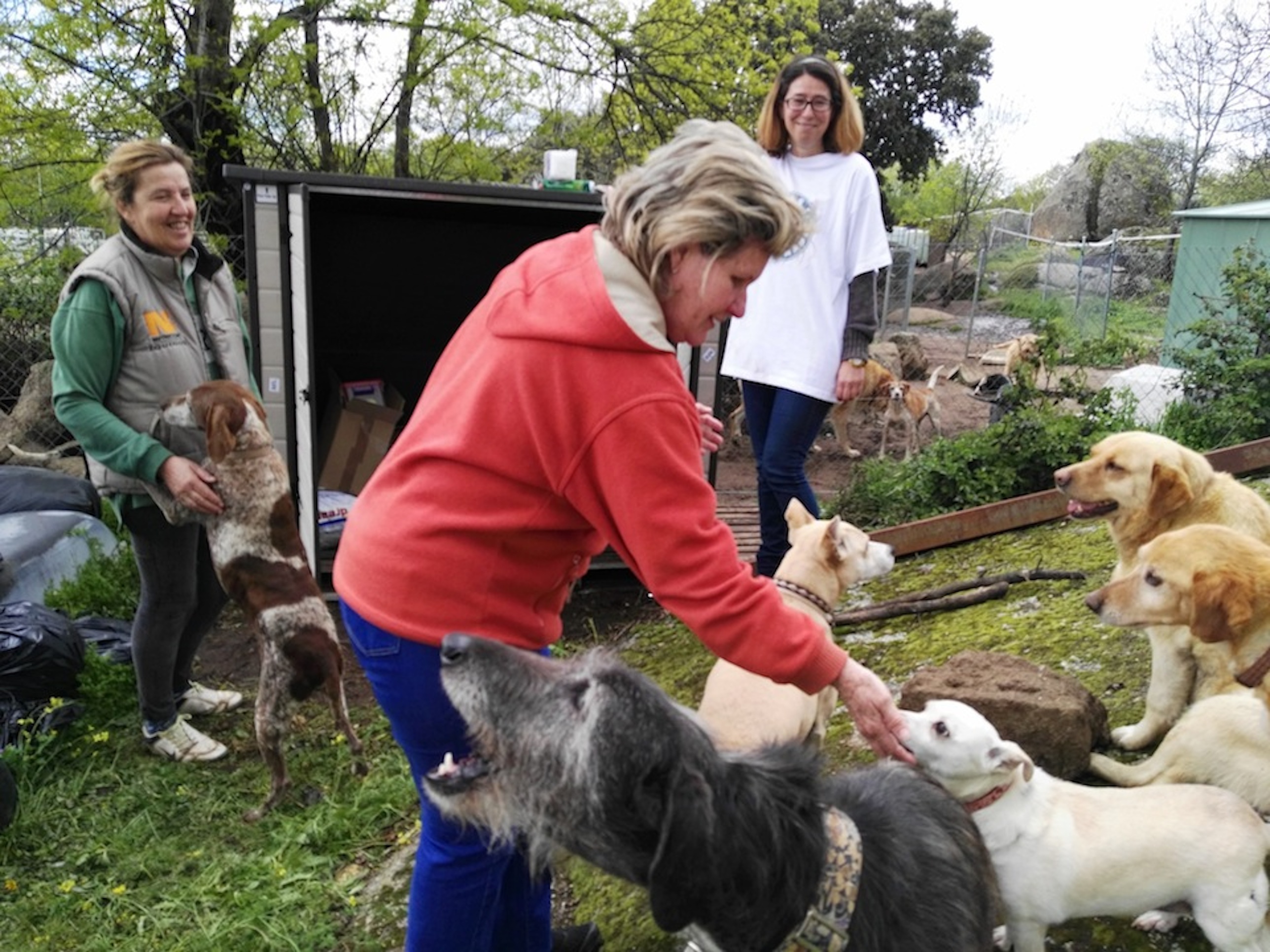 Entrega de alimentos de SOS Peludos