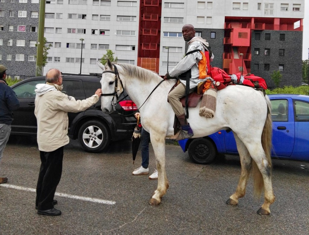 Caballo Sanchinarro 4