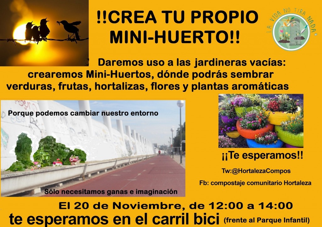 crea-tu-propio-mini-huerto