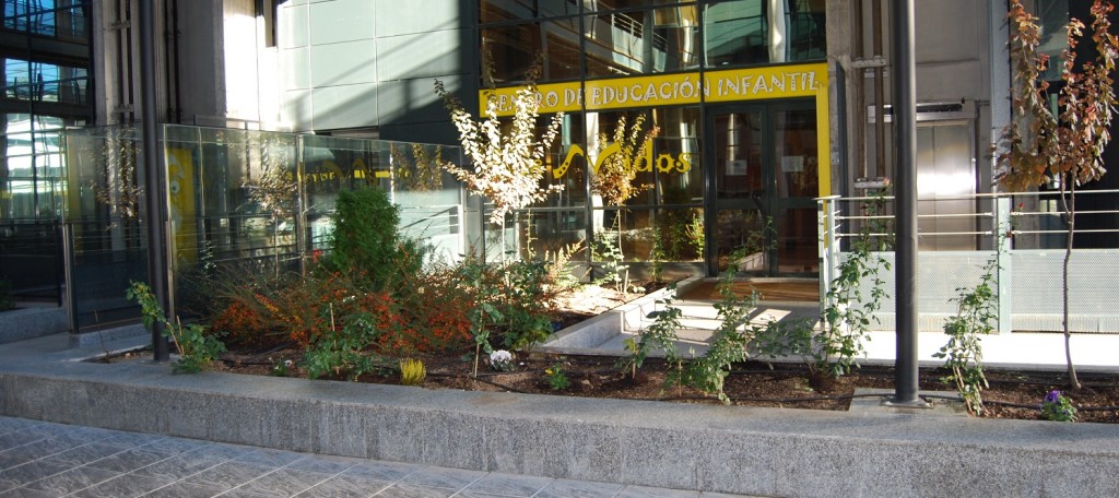 fotos-escuela-2010-005