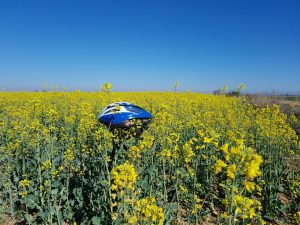 WhatsApp Image 2017 04 17 at 11.09.06