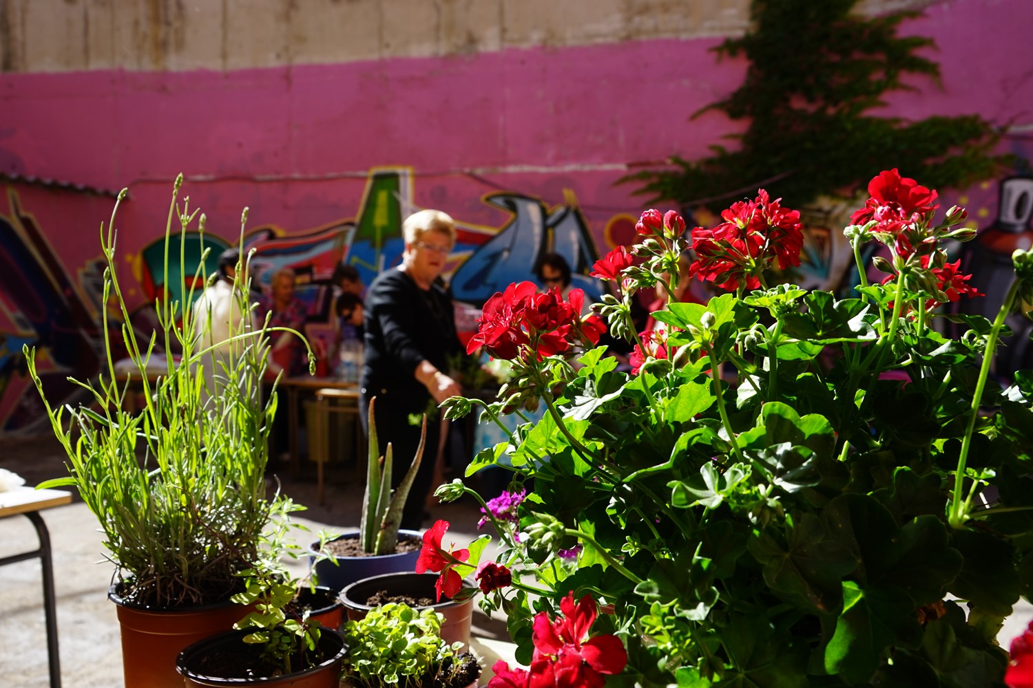 Ecocepa, más que un proyecto