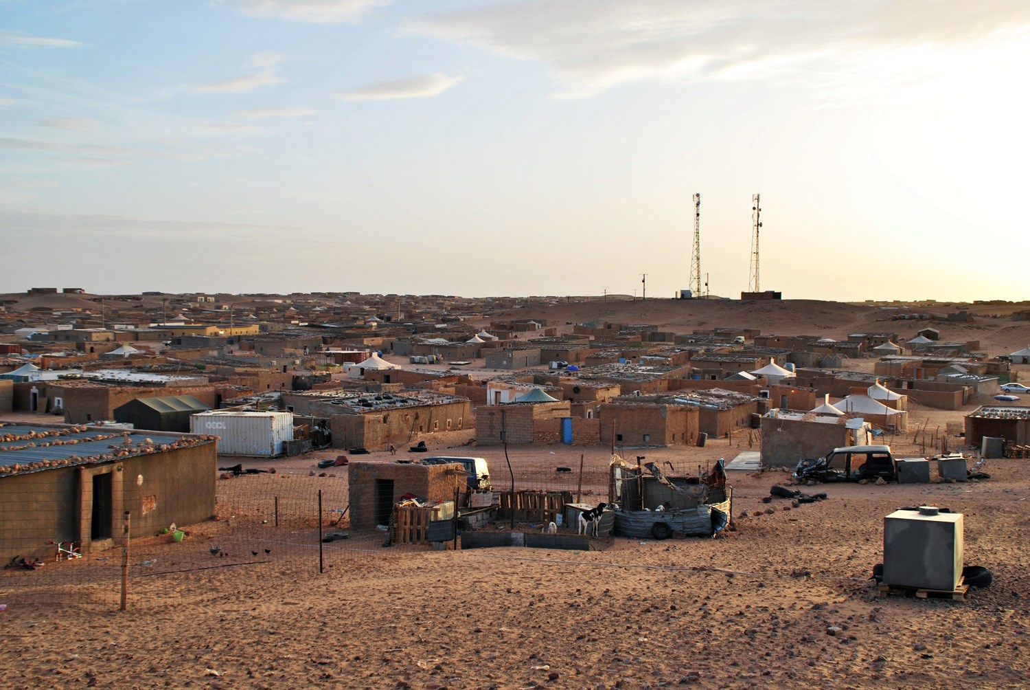 Un encuentro en la arena bajo el cielo y la luna del Sahara
