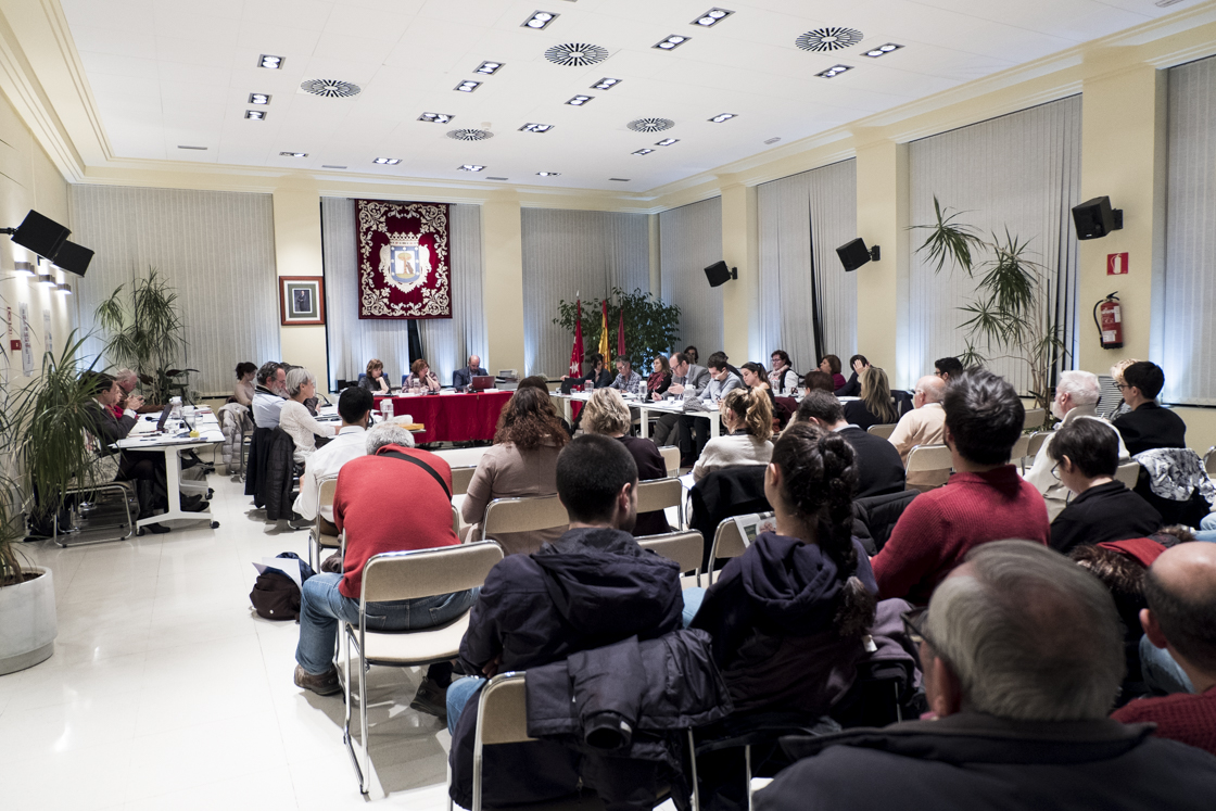 Pleno de diciembre de Hortaleza
