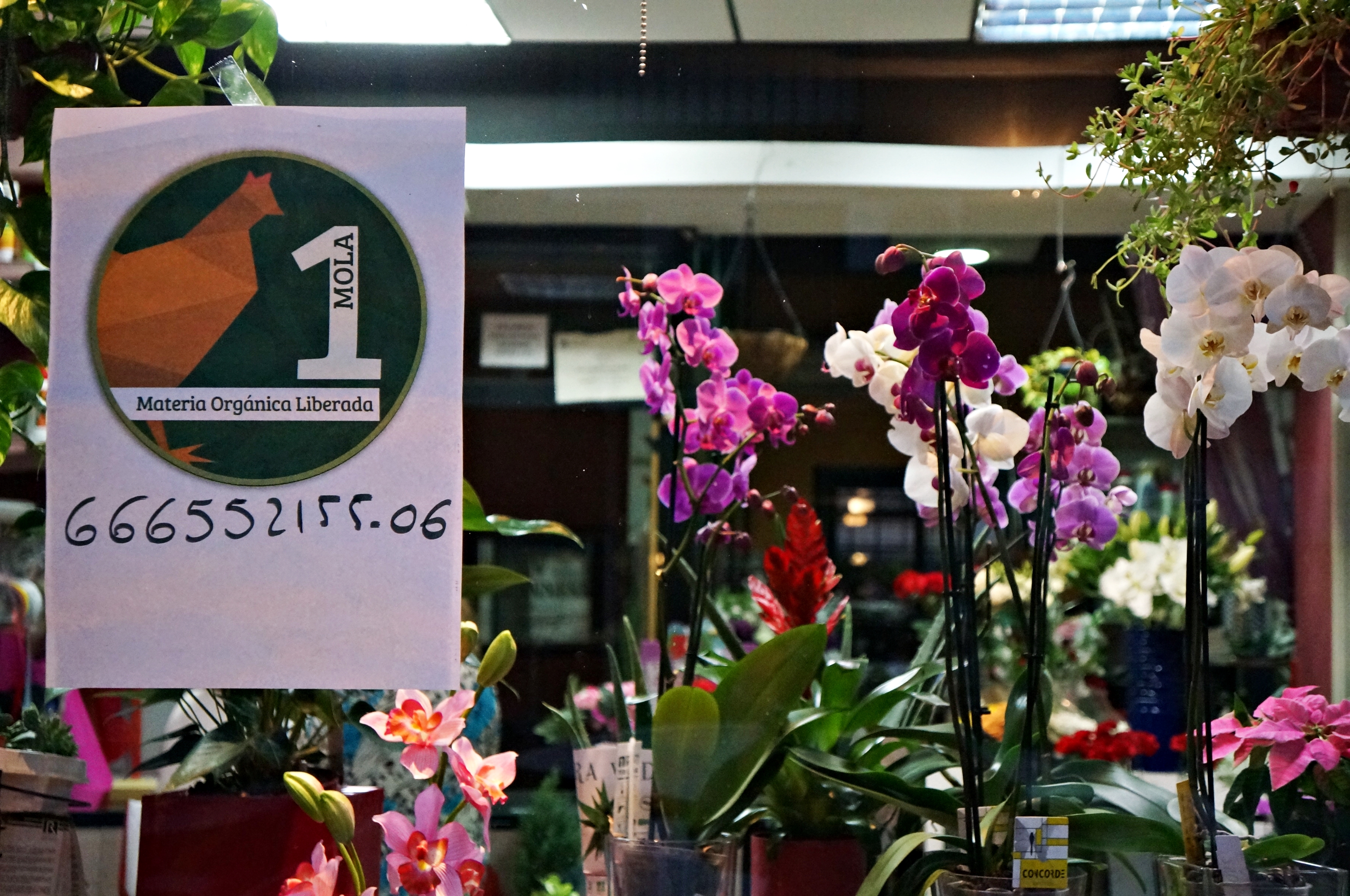 Una moneda ecológica que premia el reciclaje