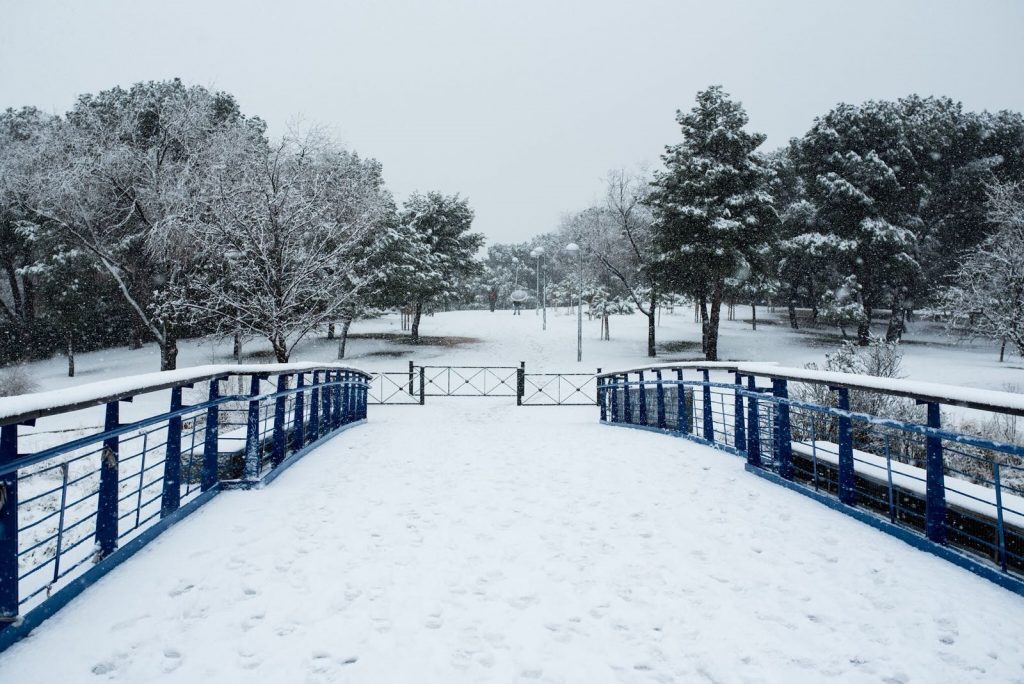 Puente Pinar del Rey