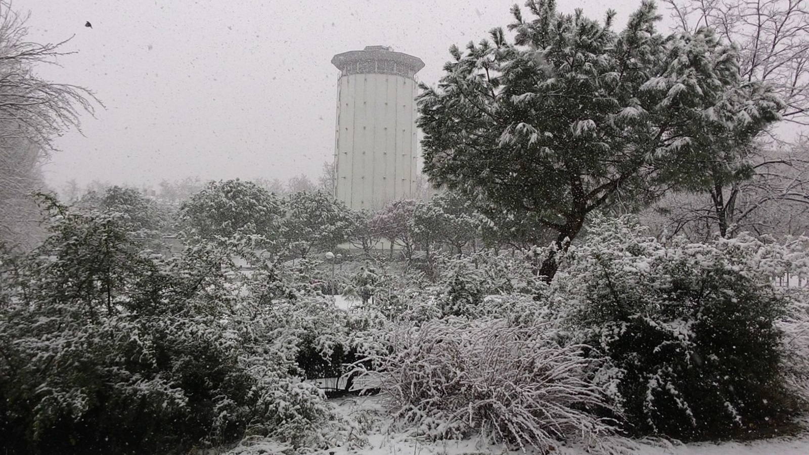 Hortaleza bajo la nieve