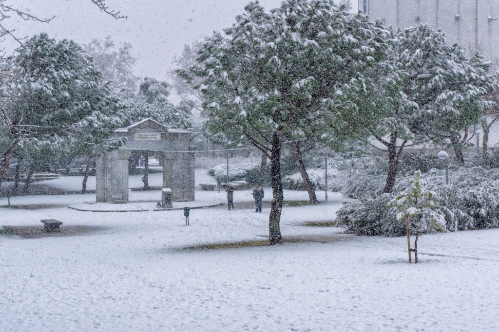 WhatsApp Image 2018 02 05 at 21.38.03