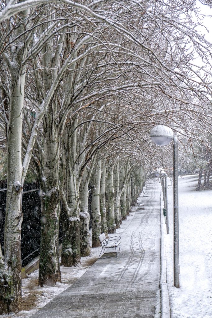 WhatsApp Image 2018 02 05 at 21.38.04