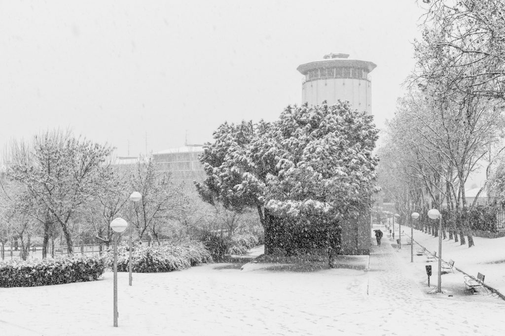 WhatsApp Image 2018 02 05 at 21.38.05