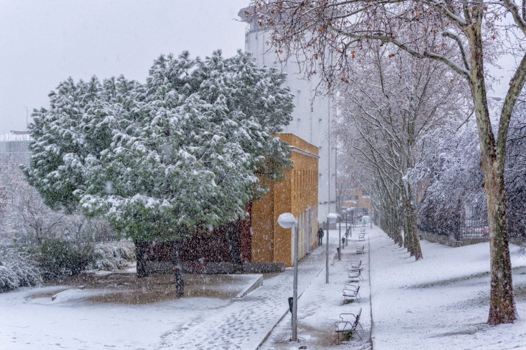 WhatsApp Image 2018 02 05 at 21.38.11