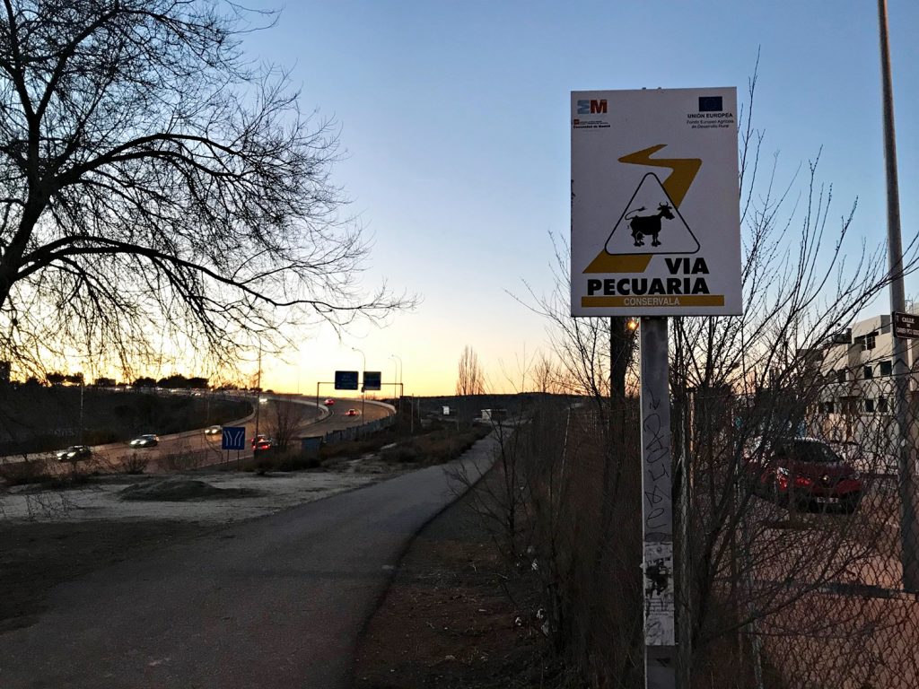 Vía Pecuaria Las Cárcavas