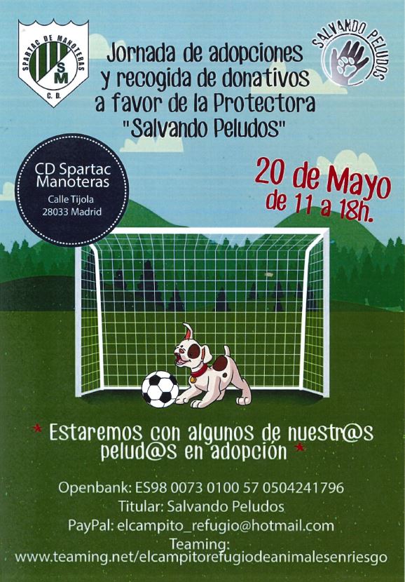 Salvando Peludos en el Spartac de Manoteras