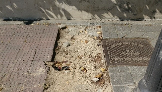 Degradación del barrio de Palomas