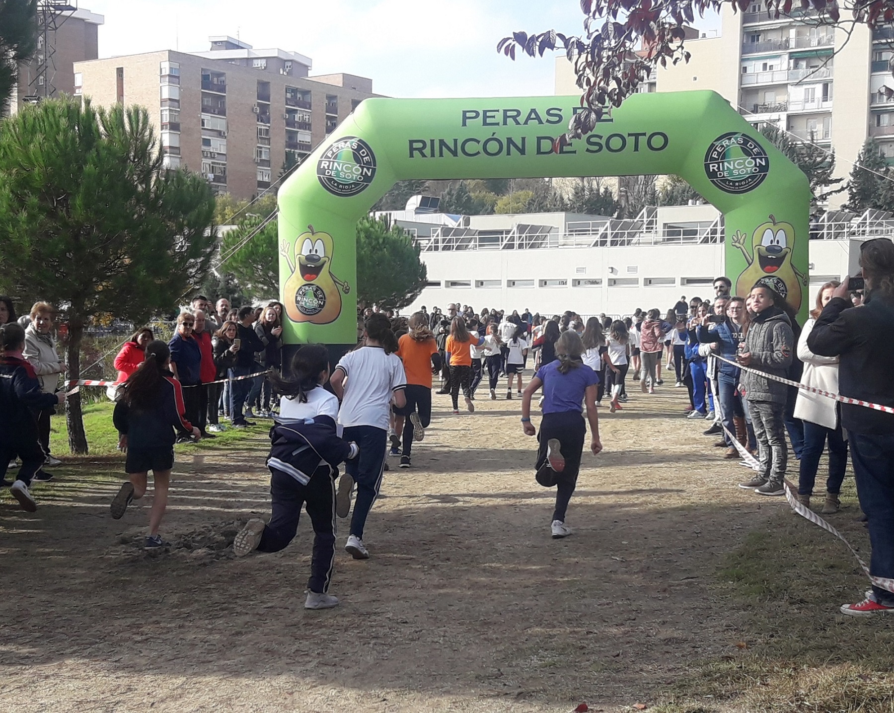 Cross Escolar 2018 3