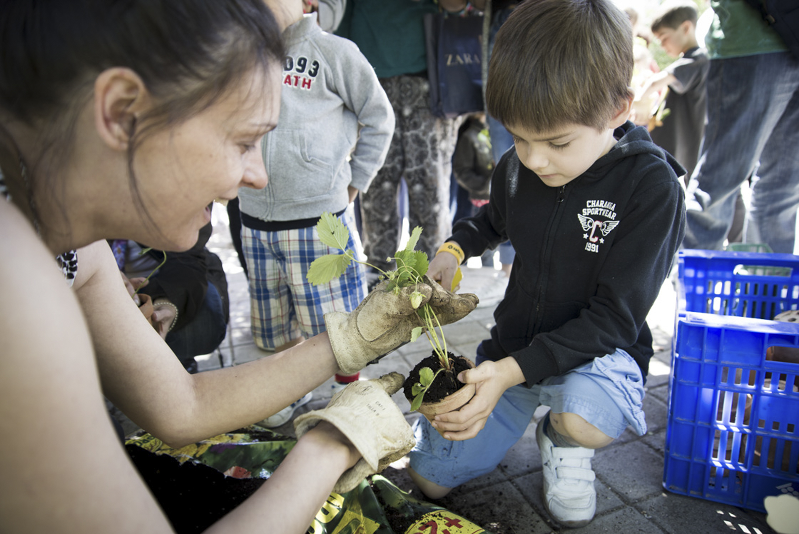 Día del Árbol 2023