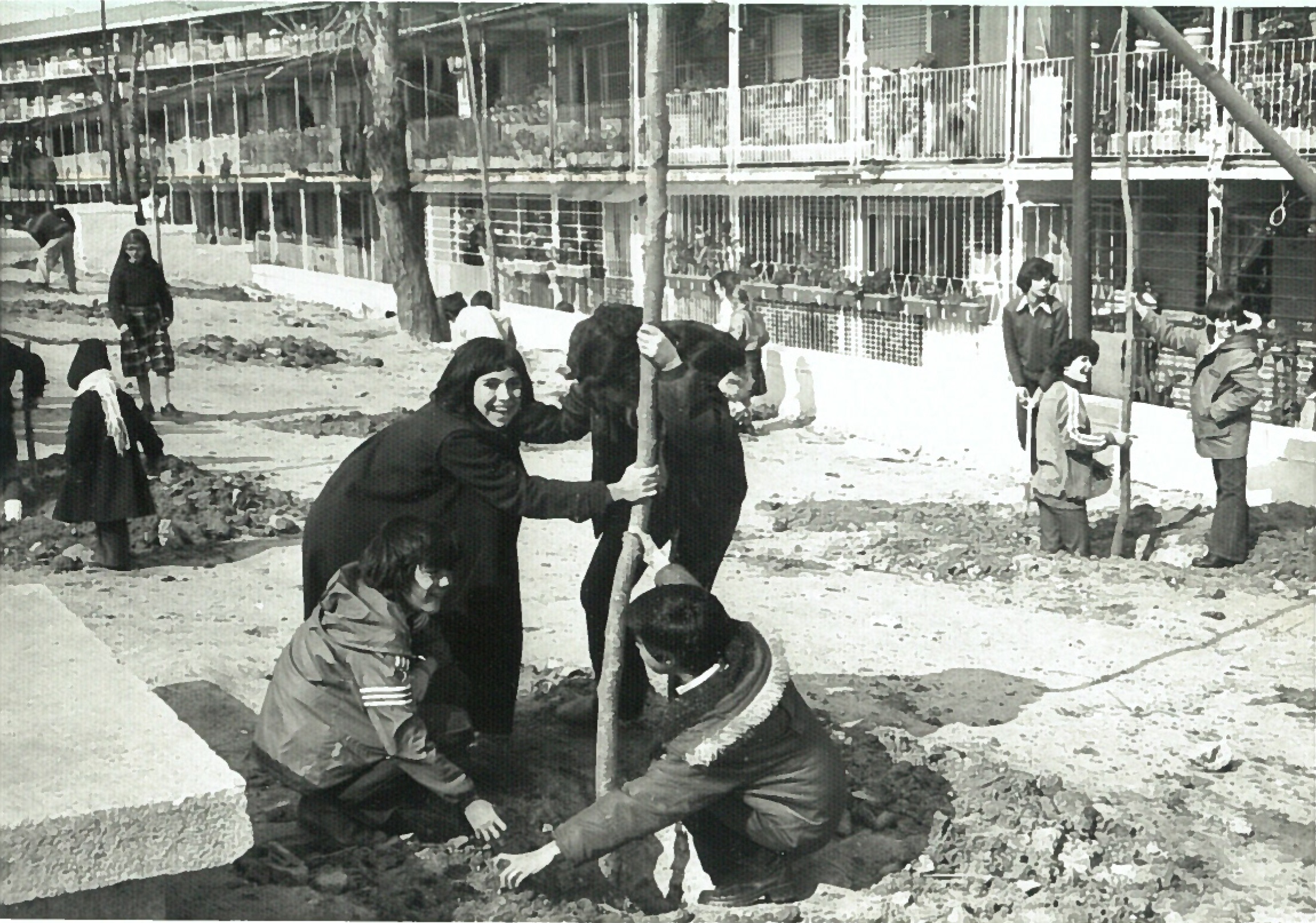 Día del Árbol antigua