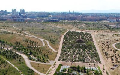 Cross de Amig@s del Parque Forestal de Valdebebas 2019