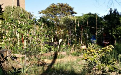 X aniversario del huerto comunitario de la asociación vecinal Villa Rosa