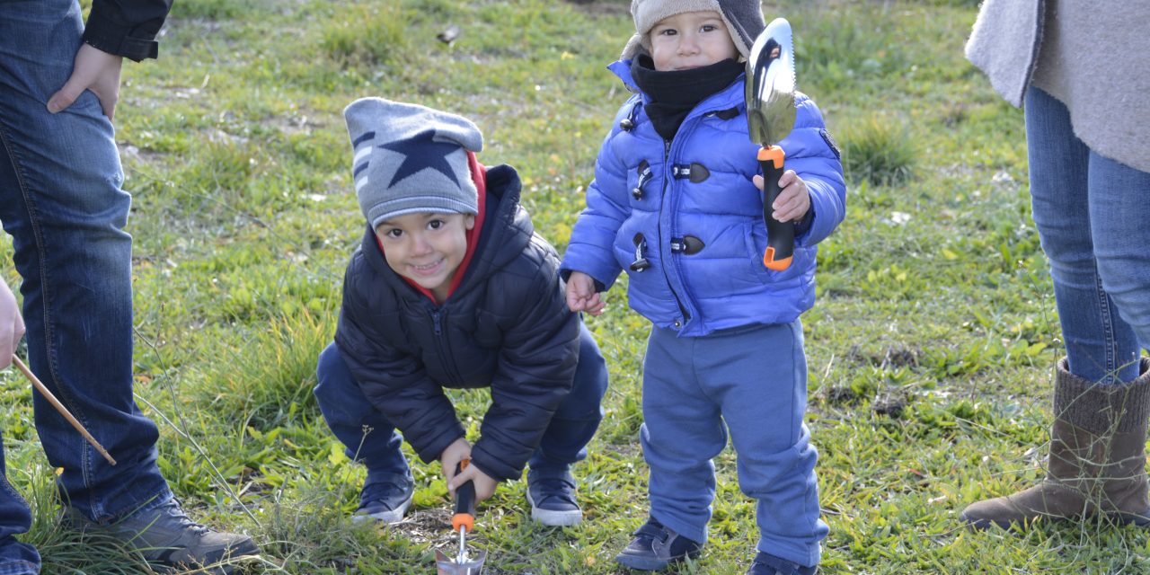El día del bosque autóctono se celebra con una gran bellotada en Hortaleza