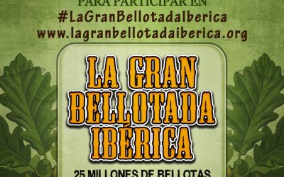 Bellotada Popular en Hortaleza