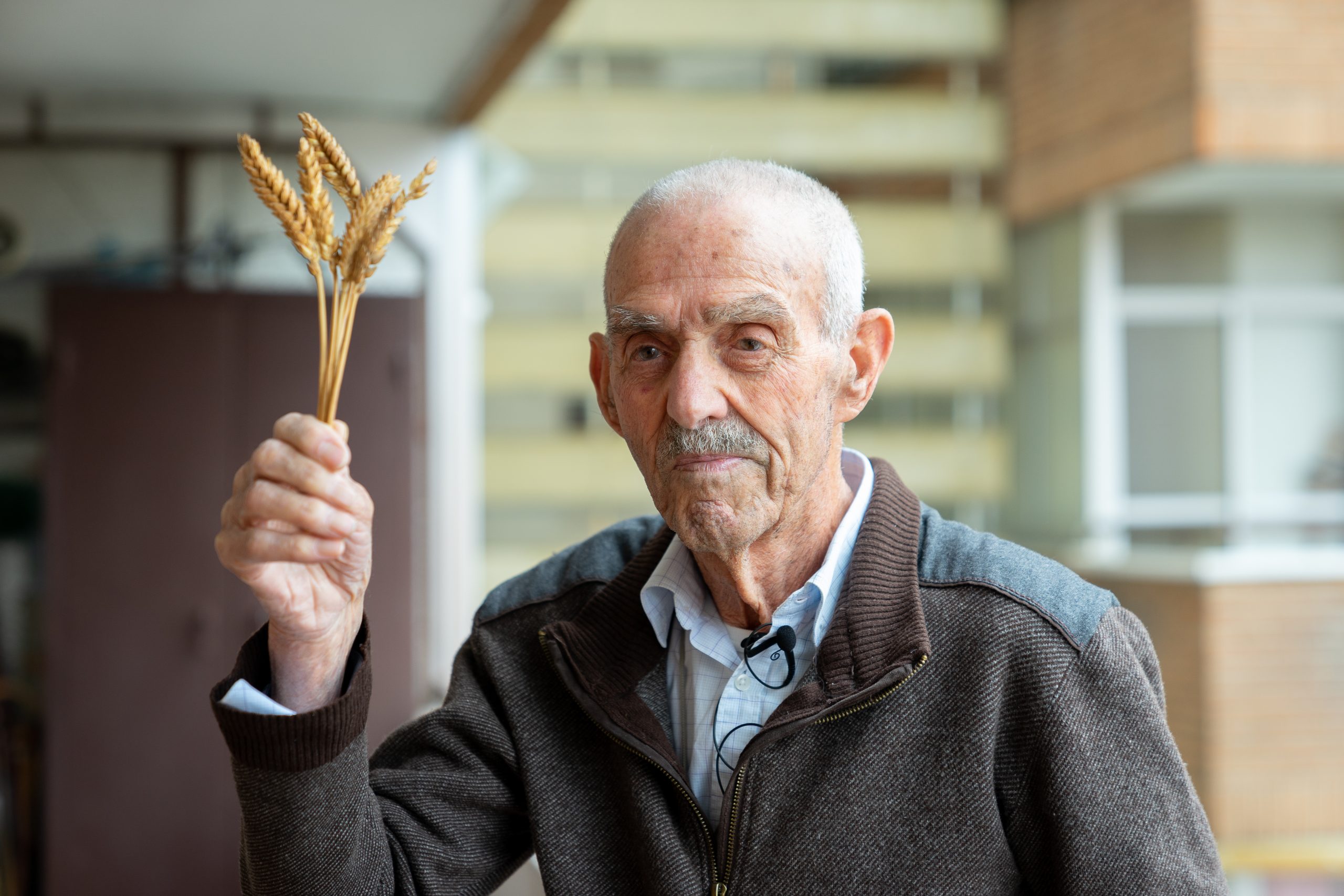 Abuelo Labrador 1 de 5 scaled