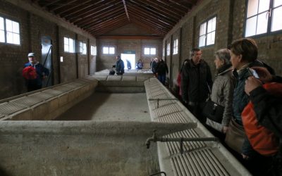 Un patrimonio histórico único en la ciudad de Madrid