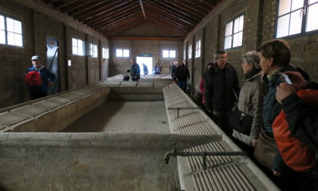 Visitas guiadas por Hortaleza