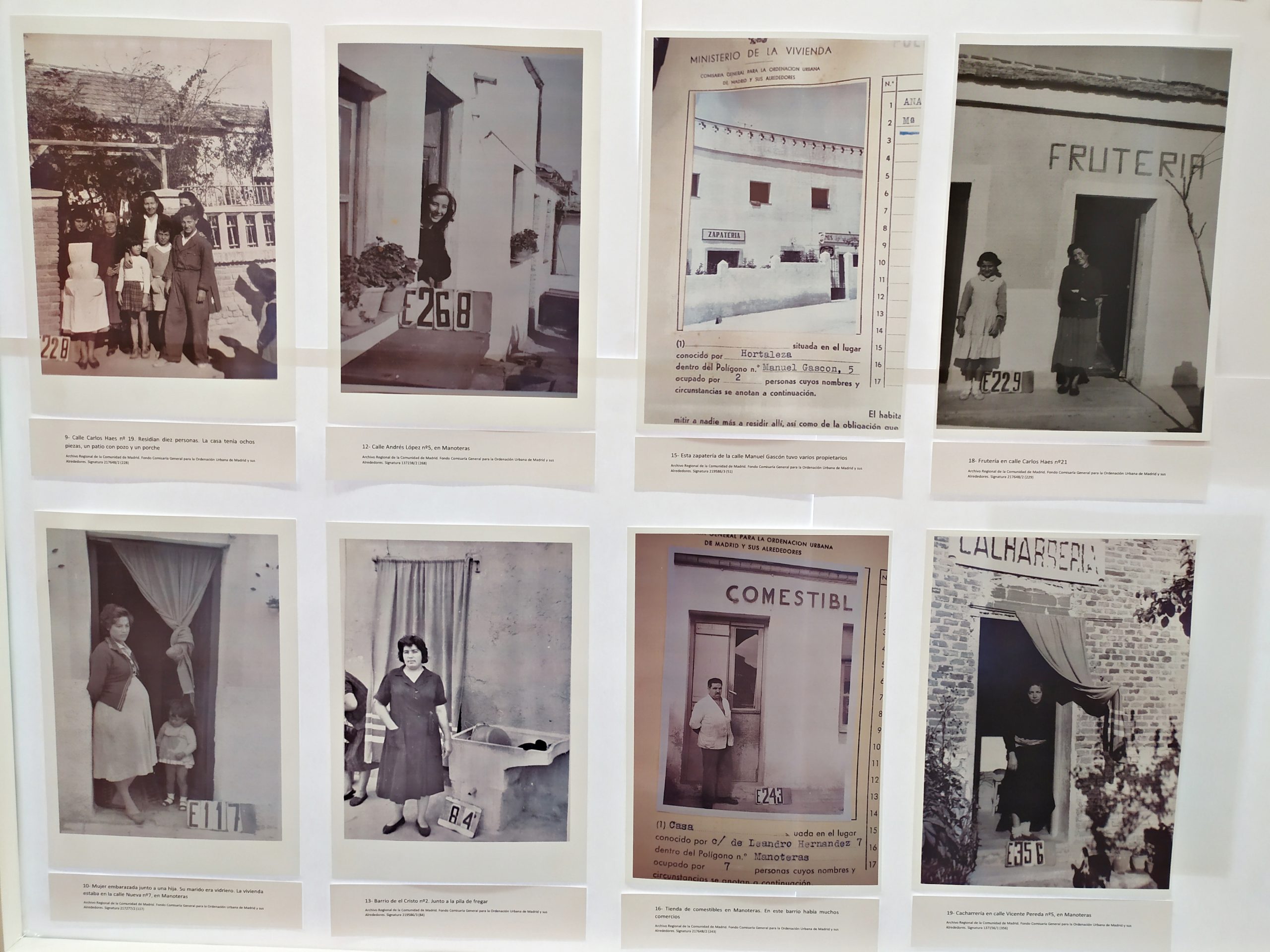 Exposición Huerta de la Salud fotos scaled