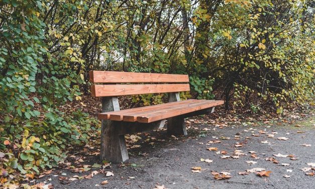 La novia de mi amigo imaginario