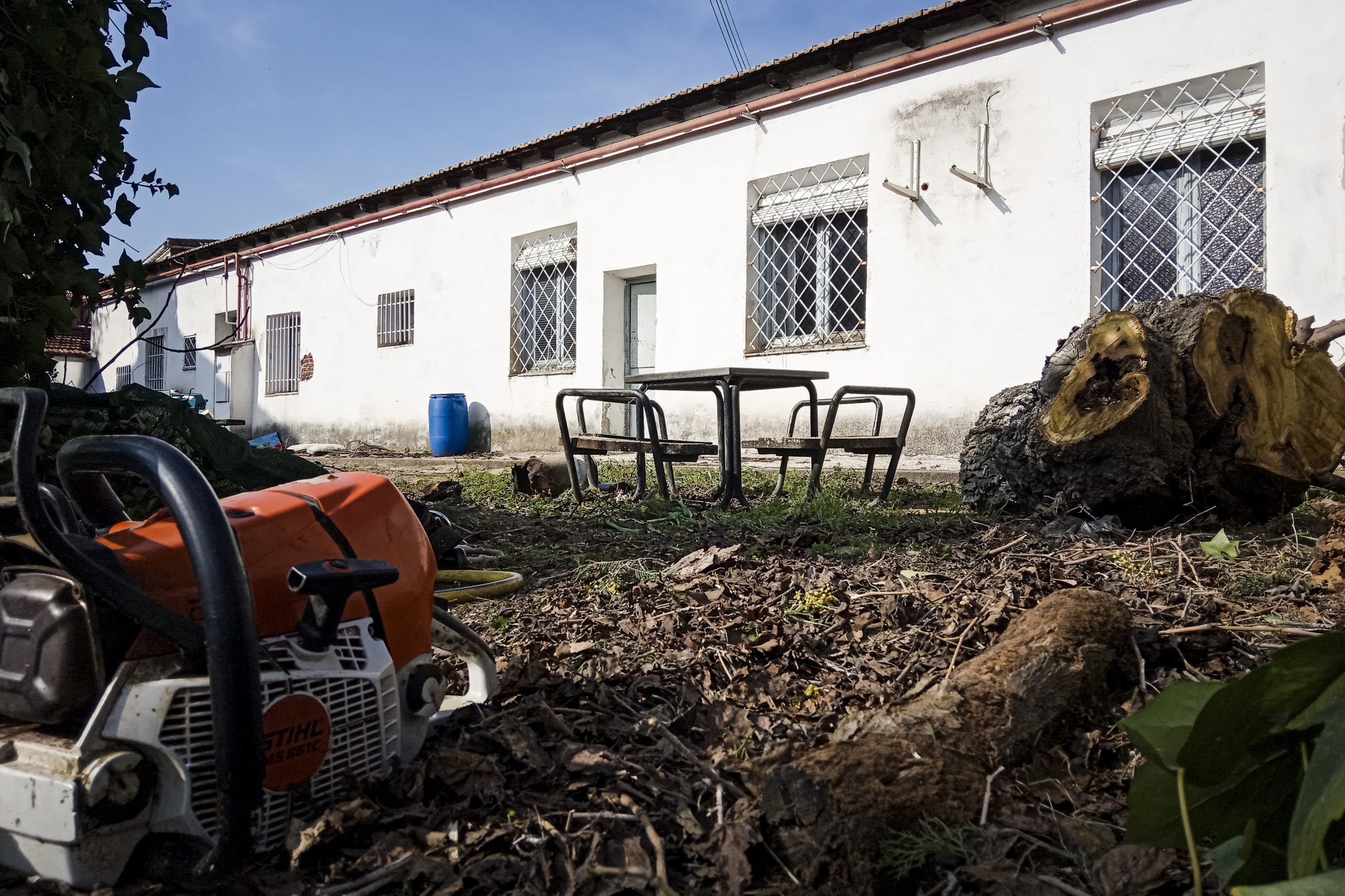 HPV51 Foto Paúles detalle 1 3 scaled