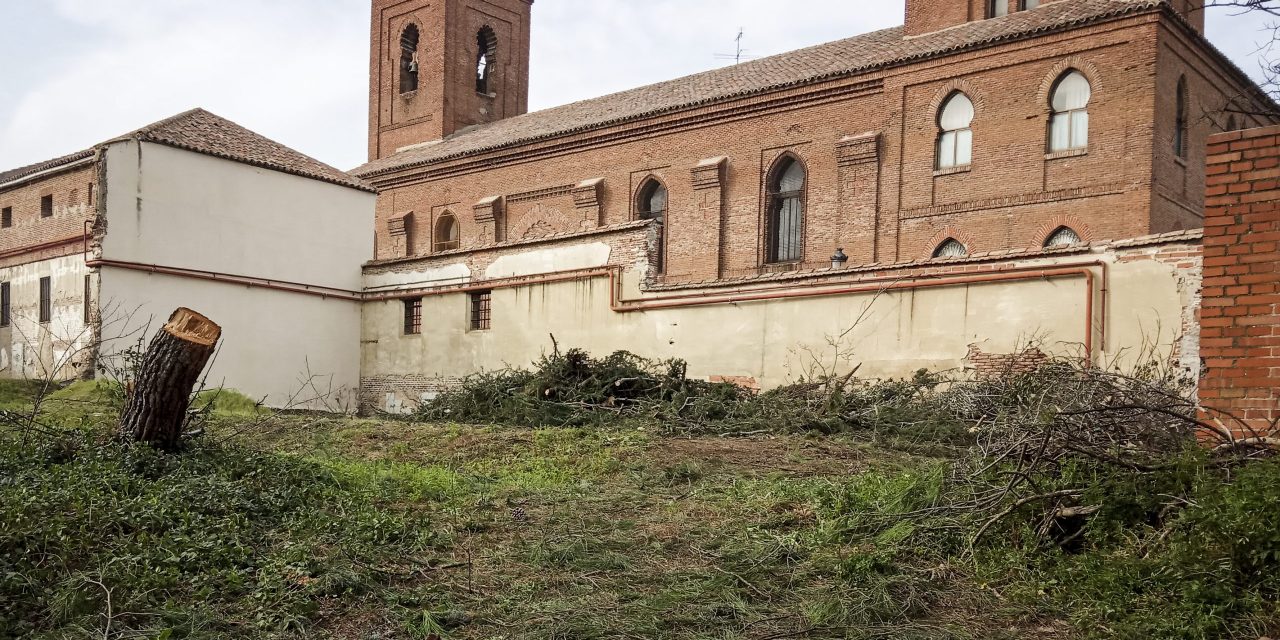 El gimnasio de los Paúles acaba con una arboleda