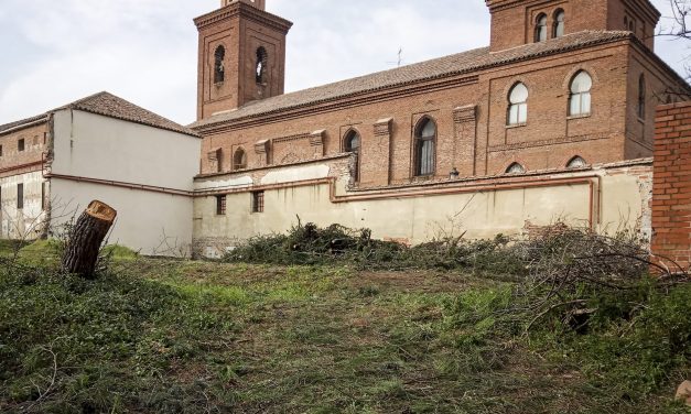 El gimnasio de los Paúles acaba con una arboleda