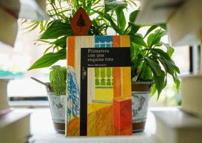 72. Saturnino Domínguez Rodríguez