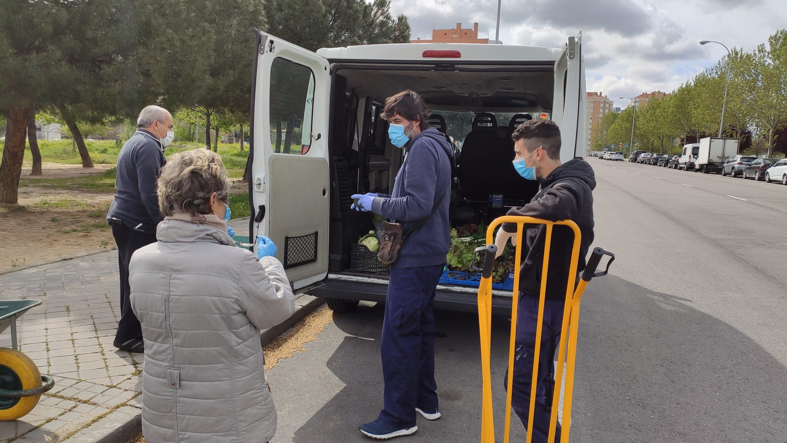 Donacion cosecha Huerto Manoteras scaled