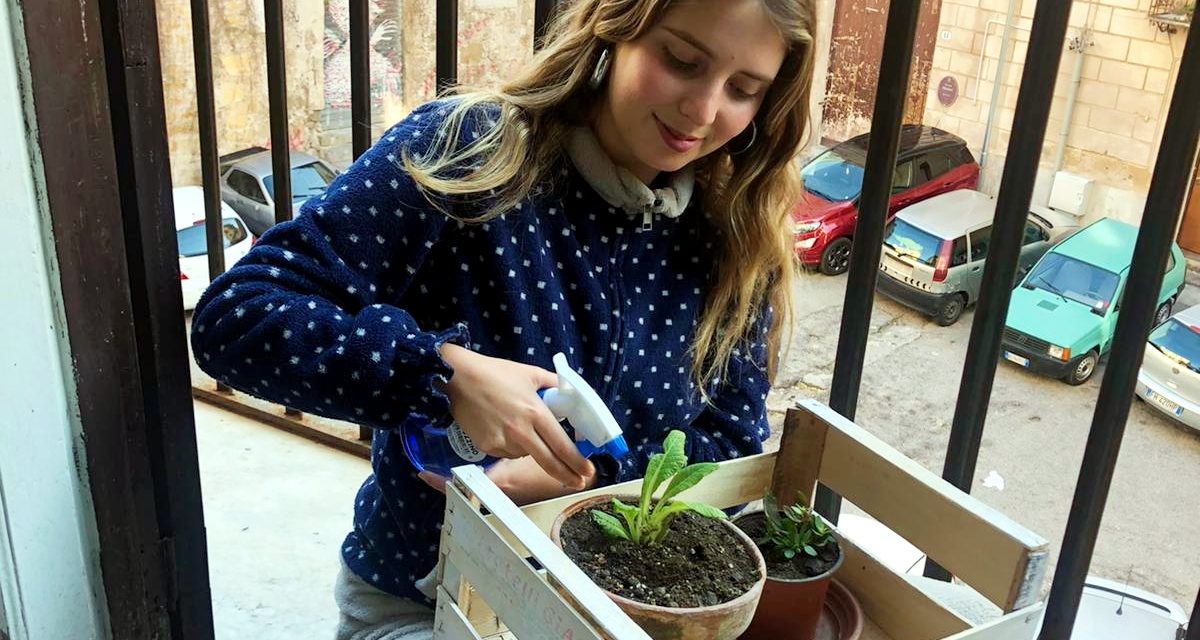 La odisea de volver a casa