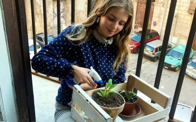 La odisea de volver a casa