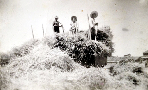 Nemesio Aguado Historias de Hortaleza