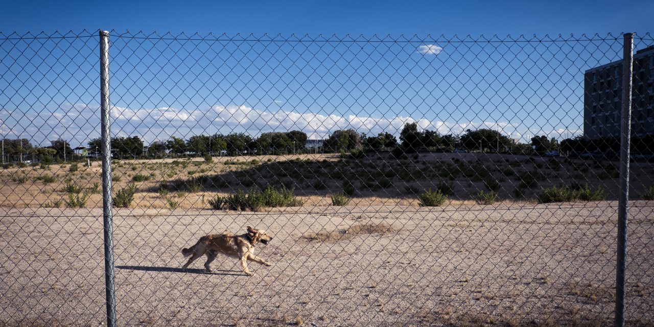 El retraso del nuevo colegio de Valdebebas complica la vuelta al cole