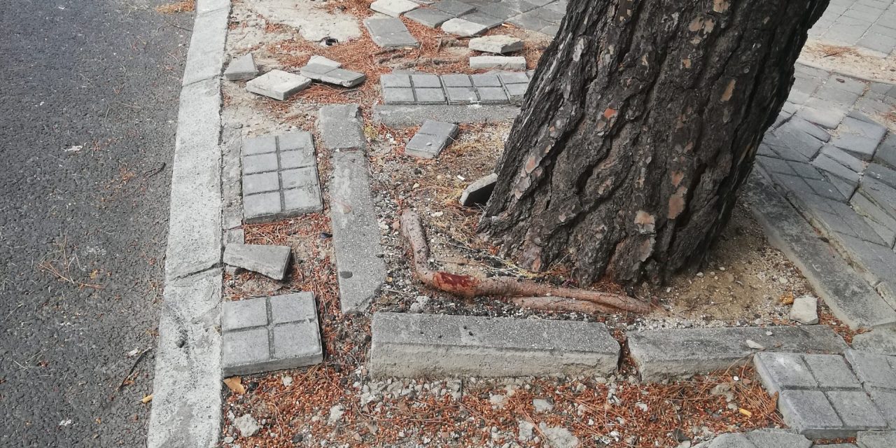 La ejecución del presupuesto del distrito de Hortaleza deja una caída del 24% en 2019