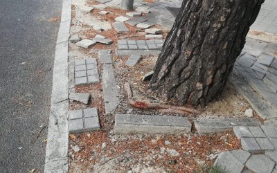 La ejecución del presupuesto del distrito de Hortaleza deja una caída del 24% en 2019