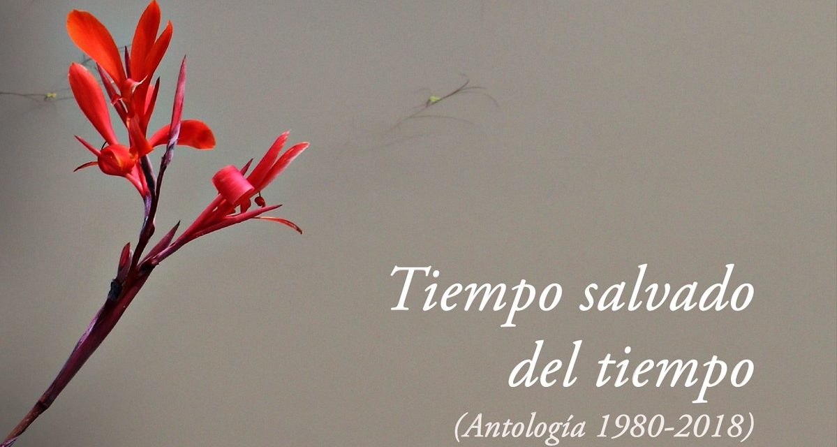 Así da gusto, Hortaleza